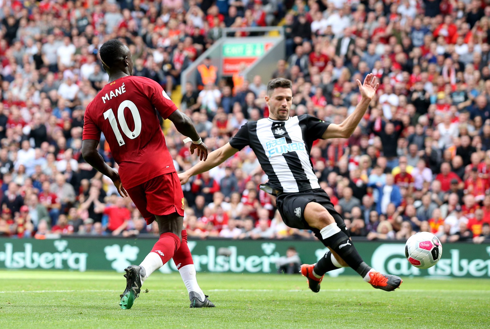 辅导团队的 辅导团队的